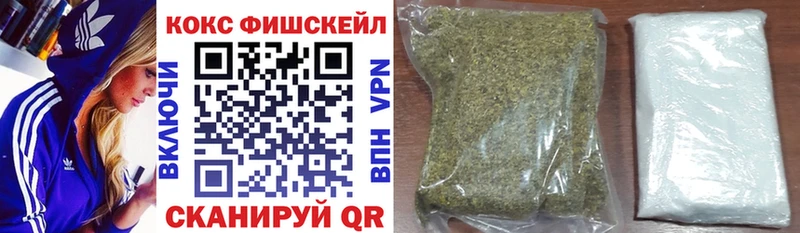 ссылка на мегу зеркало  Ярославль  Cocaine FishScale 