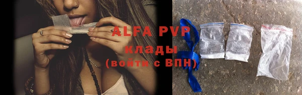 хмурый Верея