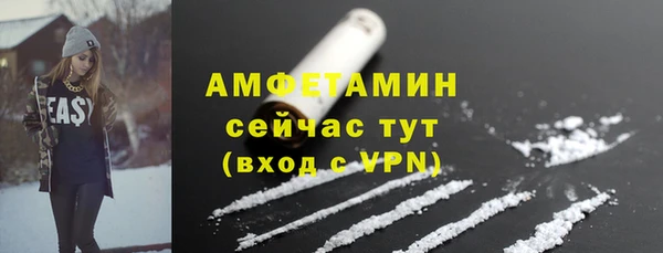 хмурый Верея