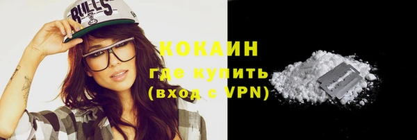 хмурый Верея