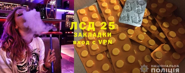 хмурый Верея