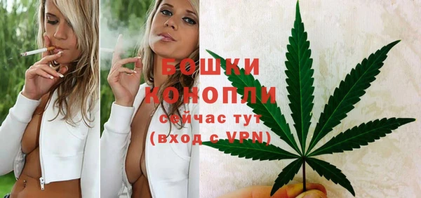 хмурый Верея