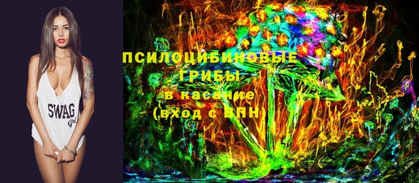 ешки Бородино