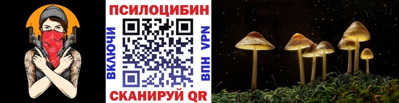 хочу   Ярославль  OMG ССЫЛКА  Галлюциногенные грибы Magic Shrooms 